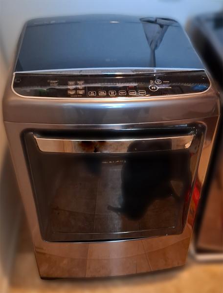 LG Dryer Repair in Las Vegas (DLGY1902KE)
